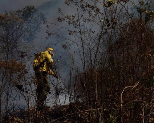 Incêndio florestal atinge a Área de Proteção Ambiental em Chapada dos Guimarães