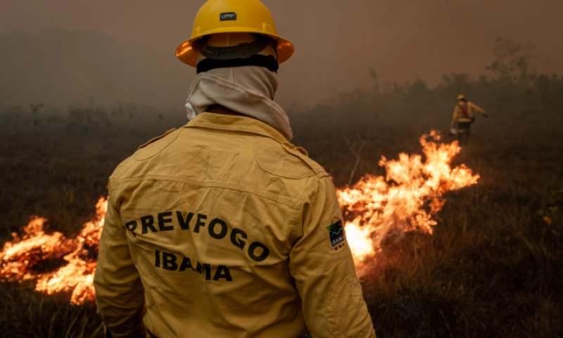 Pantanal registra mais de 900% de aumento nos focos de queimadas em 2024 -  Poconet Not&iacute;cias - Portal de Not&iacute;cias de Pocon&eacute; e Mato Grosso